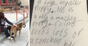 Dog Returned to Shelter with a Heartfelt Note from a Young Girl ...